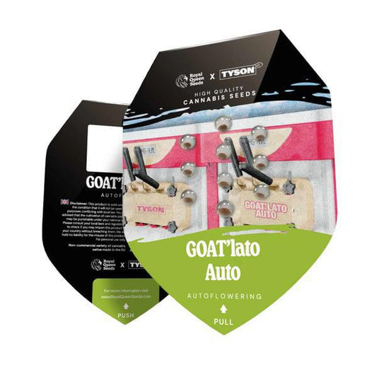 Royal Queen - Goat'lato
