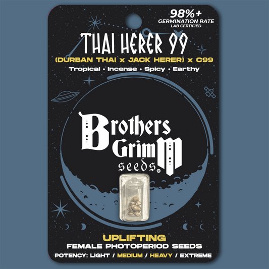 Brothers Grimm - Thai Herer 99