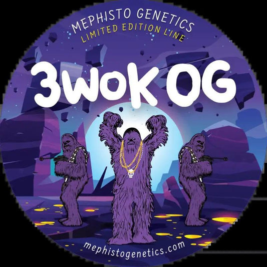 Mephisto - 3 wok OG f3