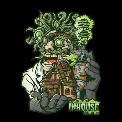 In House Genetics - Violicious