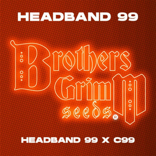 Brothers Grimm - Headband 99