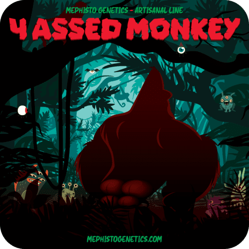 Mephisto - 4 Assed Monkey