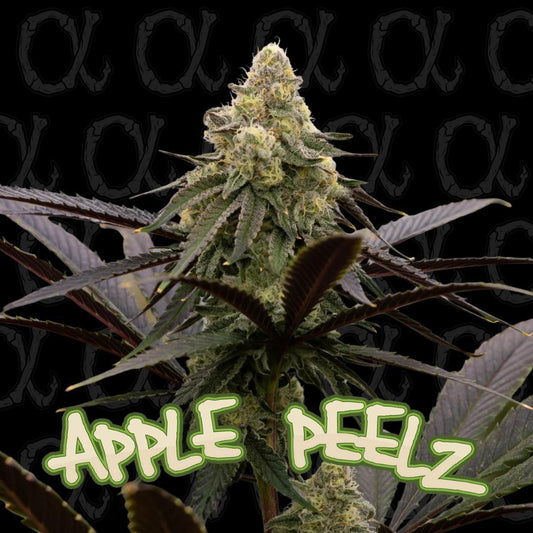 Dirty Bird - Apple Peelz