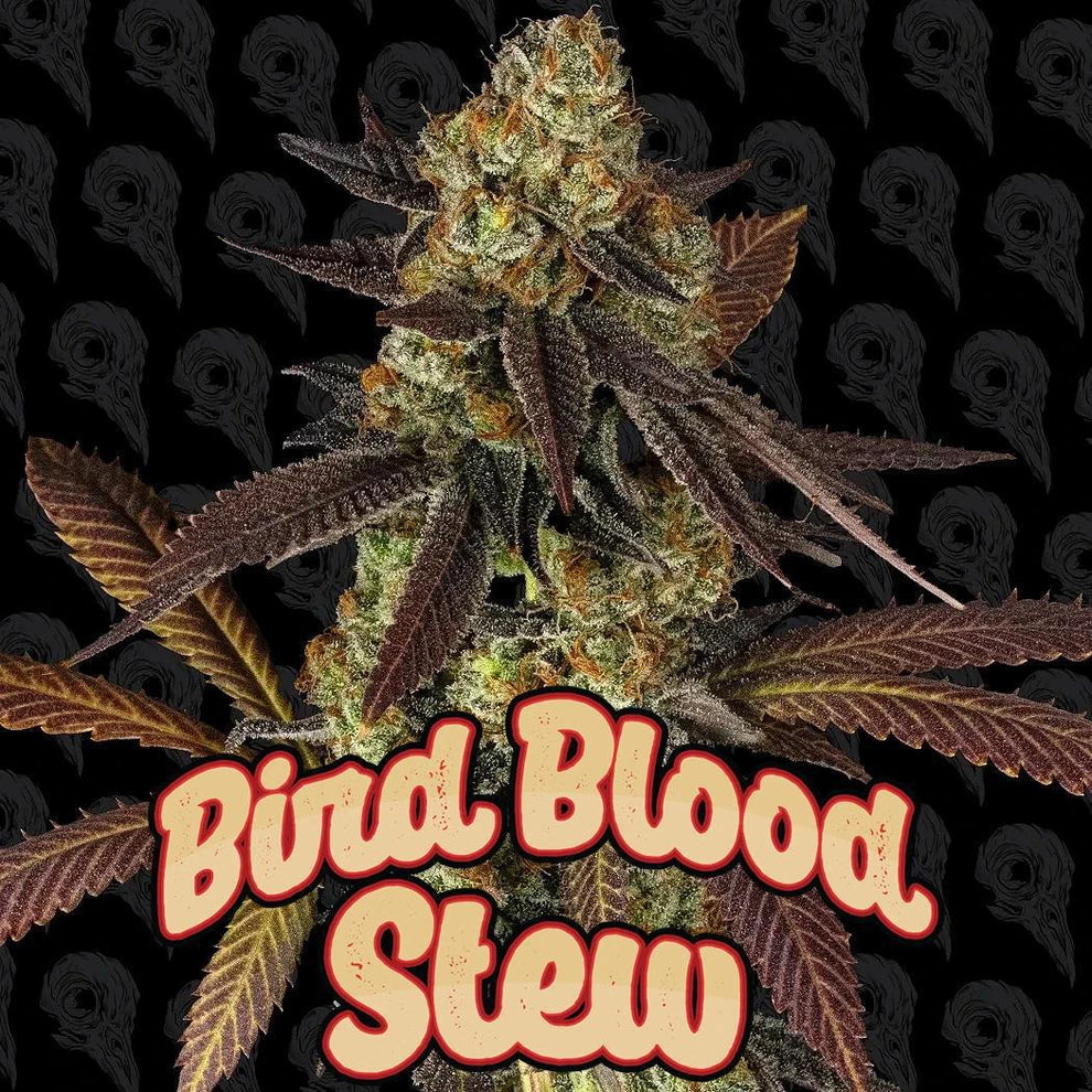 Dirty Bird - Bird Blood Stew – Meaner Gardens