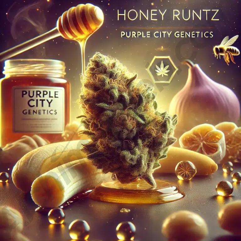 Purple City Genetics - Honey Runtz