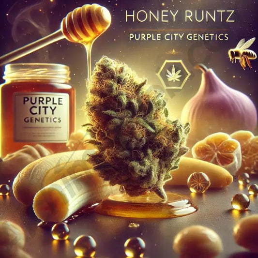 Purple City Genetics - Honey Runtz