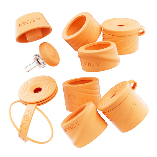 Focus V  Carta Swivel and Silicone Accessory Kit