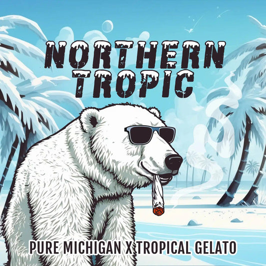 Elev8 Seeds - Northern Tropic