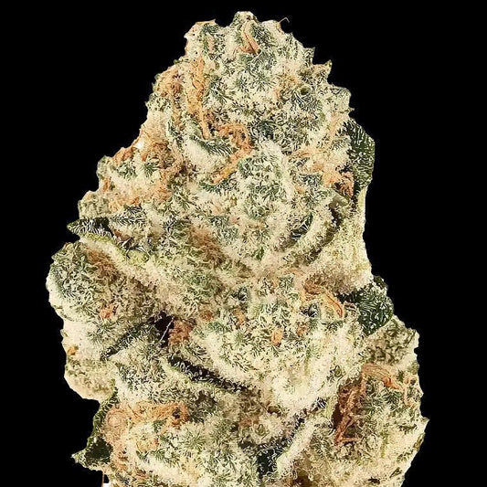 42 Fast Buds - Gorilla Melon (F)