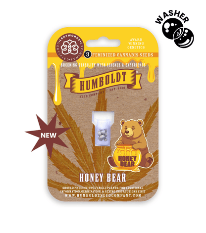 Humboldt -  Honey Bear