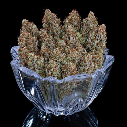 Brothers Grimm - Headband 99