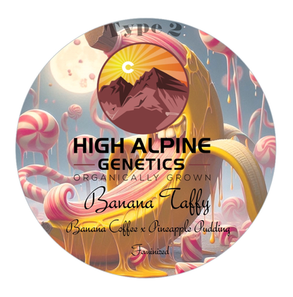 High Alpine Genetics - Banana Taffy