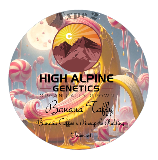 High Alpine Genetics - Banana Taffy