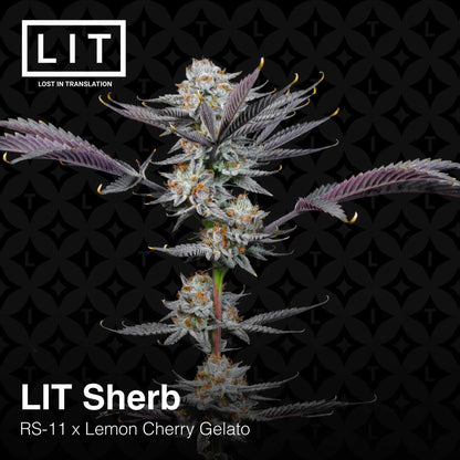 Lit Farms - Lit Sherb