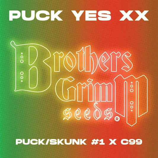 Brothers Grimm - Puck Yes