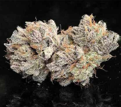 Twenty20 - Bubba Whip