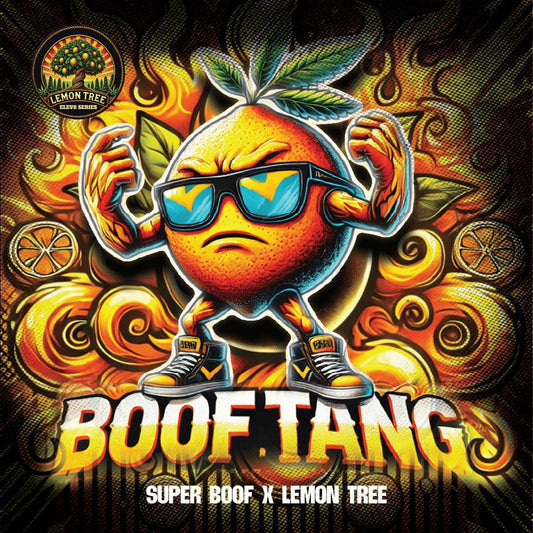 Elev8 - Boof Tang