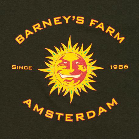 Barney's Farm - Pineapple Chunk