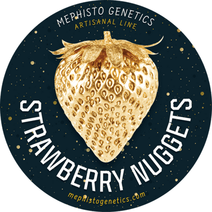 Mephisto - Strawberry Nuggets