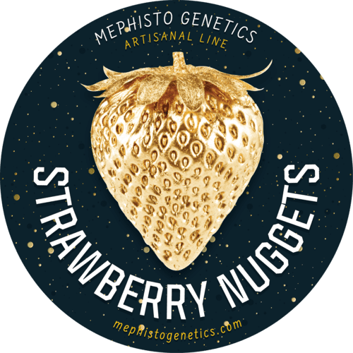 Mephisto - Strawberry Nuggets