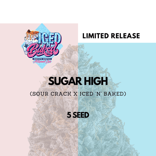 Mephisto - Sugar High
