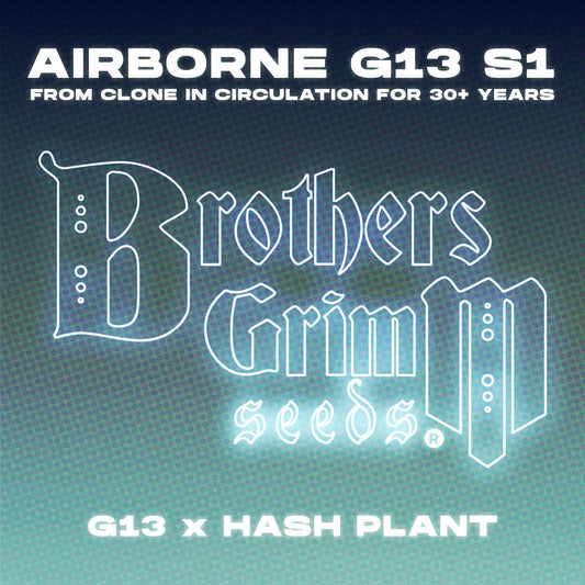 Brothers Grimm - Airborne G13 S1