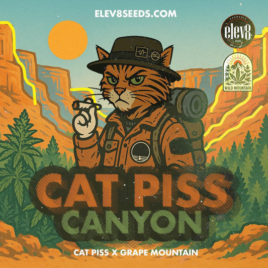 Elev8 - Cat Piss Canyon