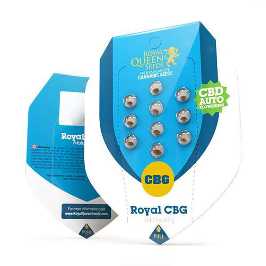 Royal Queen - Royal CBG Auto
