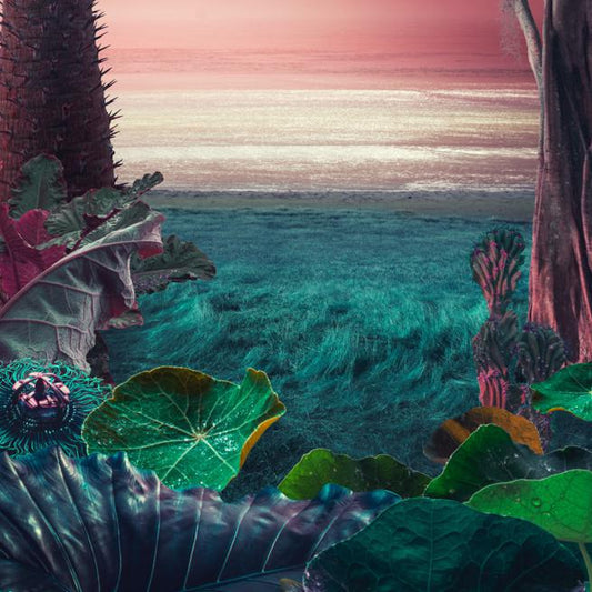 Ethos - TROPICAL THUNDER MULTIPACK