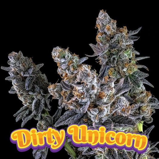 Dirty Bird -  Dirty Unicorn