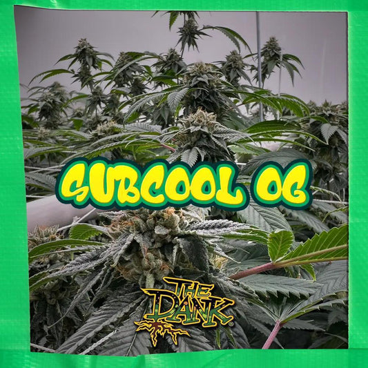 The Dank SubCool - Subcool OG Regular