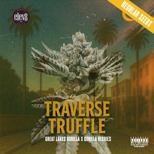 Elev8 - Traverse Truffle