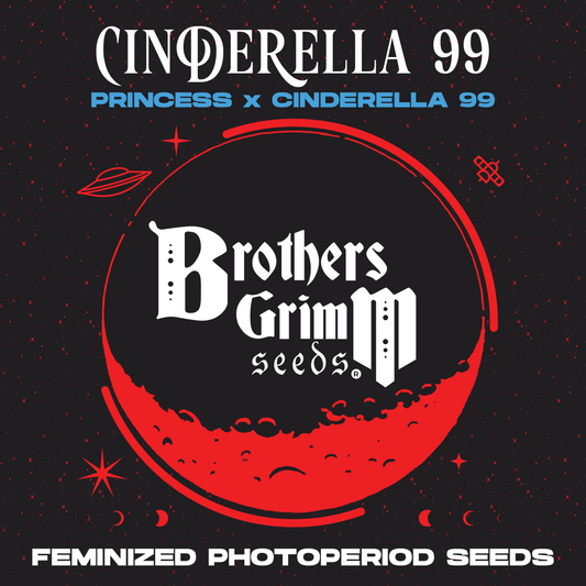 Brothers Grimm - Cinderella 99