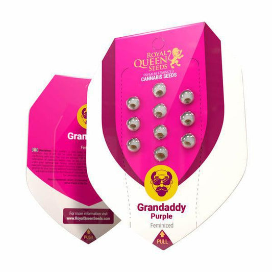 Royal Queen - Granddaddy Purple