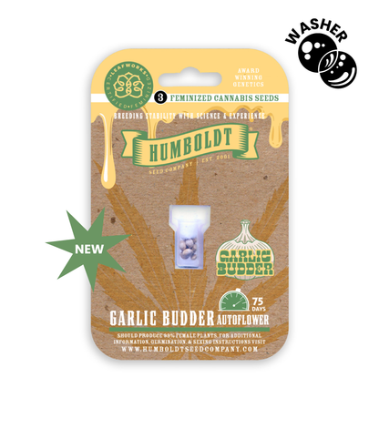 Humboldt -  Garlic Budder Auto