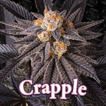 Dirty Bird - Crapple