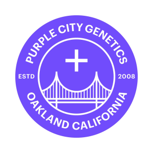 Purple City Genetics - Watermelon Dream