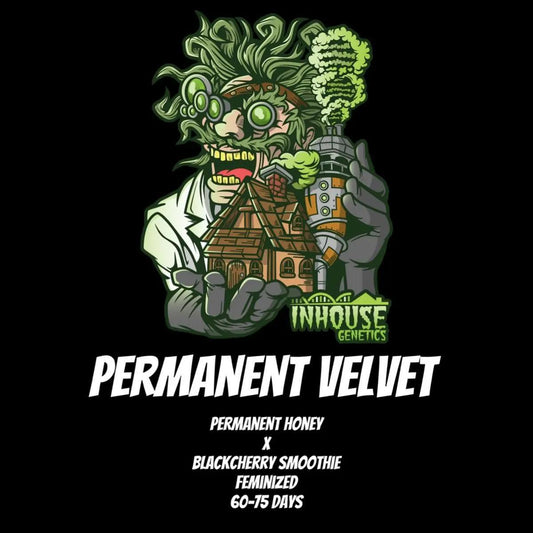 In House Genetics - Permanent Velvet