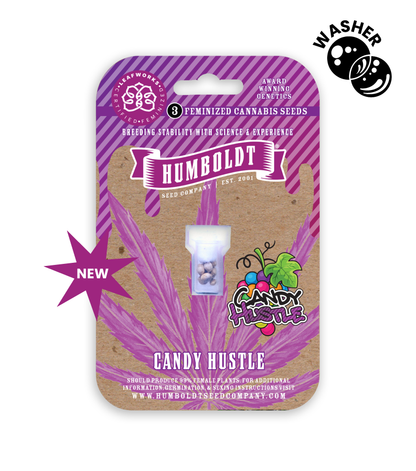 Humboldt -  Candy Hustle