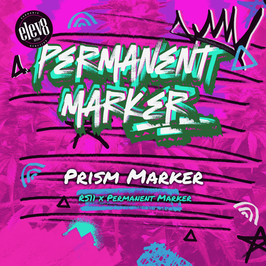 Elev8 Seeds - Prism Marker