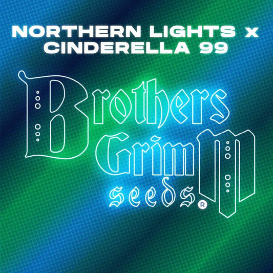 Brothers Grimm - Northern Lights x Cinderella 99