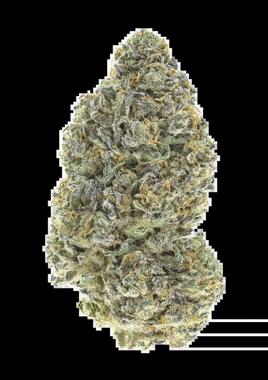 42 Fast Buds - Garlic Mint Sherbet