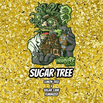 In House Genetics - Sugar Tree