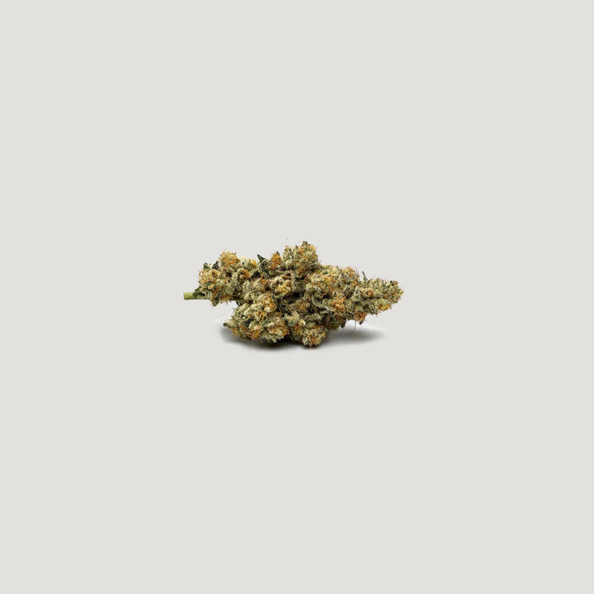 Purple City Genetics - Betty Ford