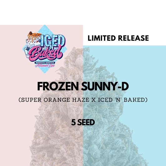 Mephisto - Frozen Sunny-D