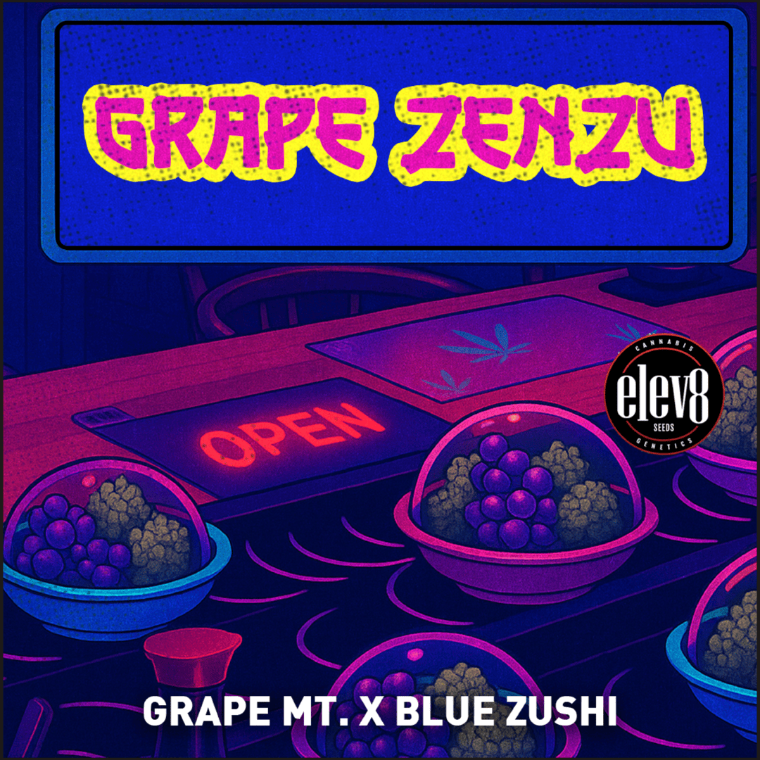 Elev8 - Grape Zenzu