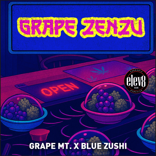 Elev8 - Grape Zenzu