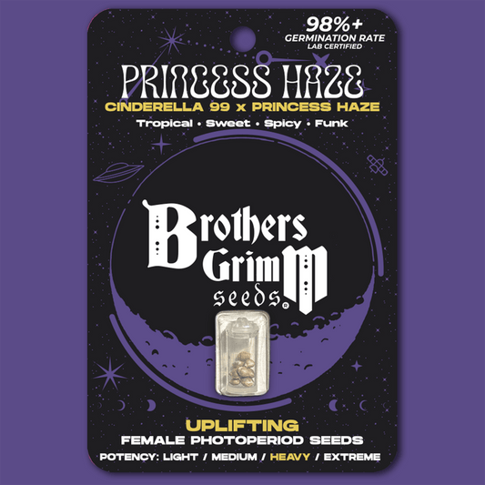 Brothers Grimm - Princess Haze