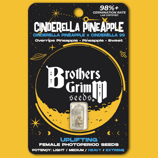 Brothers Grimm - Cinderella Pineapple