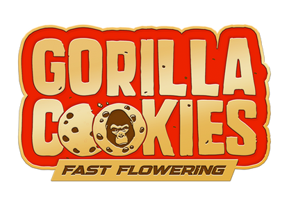 42 Fast Buds - Gorilla Cookies Fast Flowering